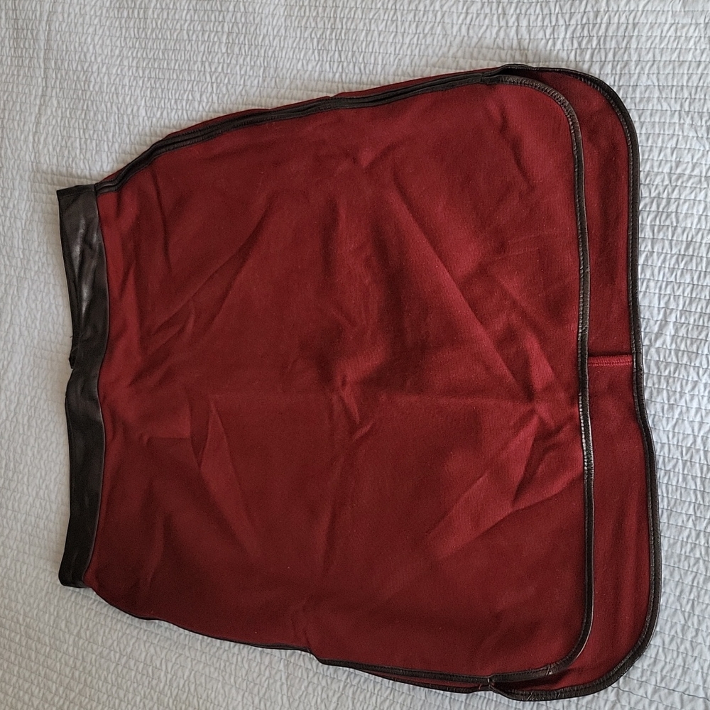 Club Monaco skirt